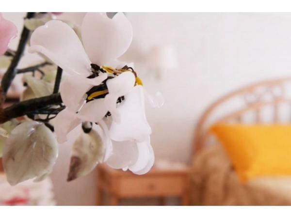 Aloha Park Hotel Campomarino  Ngoại thất bức ảnh